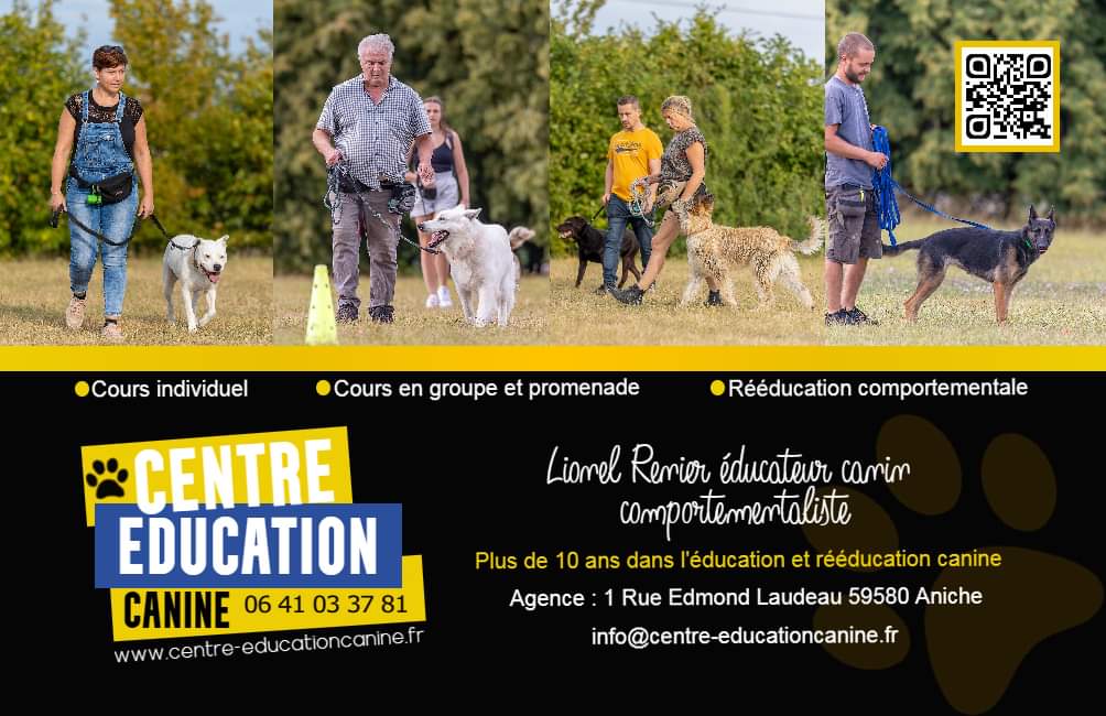 cours dressage chien tarif, tarif club canin, tarif education canine, prix cours education canine, prix cours de dressage chien, educateur canin pas cher, éducation canine petit prix, cours d'éducation canine en groupe, cours d'éducationcanine petit groupe, dressage chien en groupe, dressage chien petit groupe, cours éducation canine monchecourt, dressage canin monchecourt